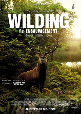 Wilding - Ré-Ensauvagement